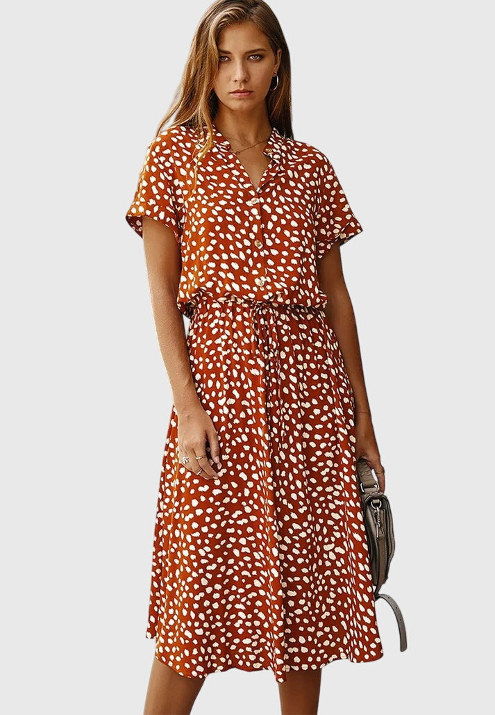 Amber Printed V-Neck Dress